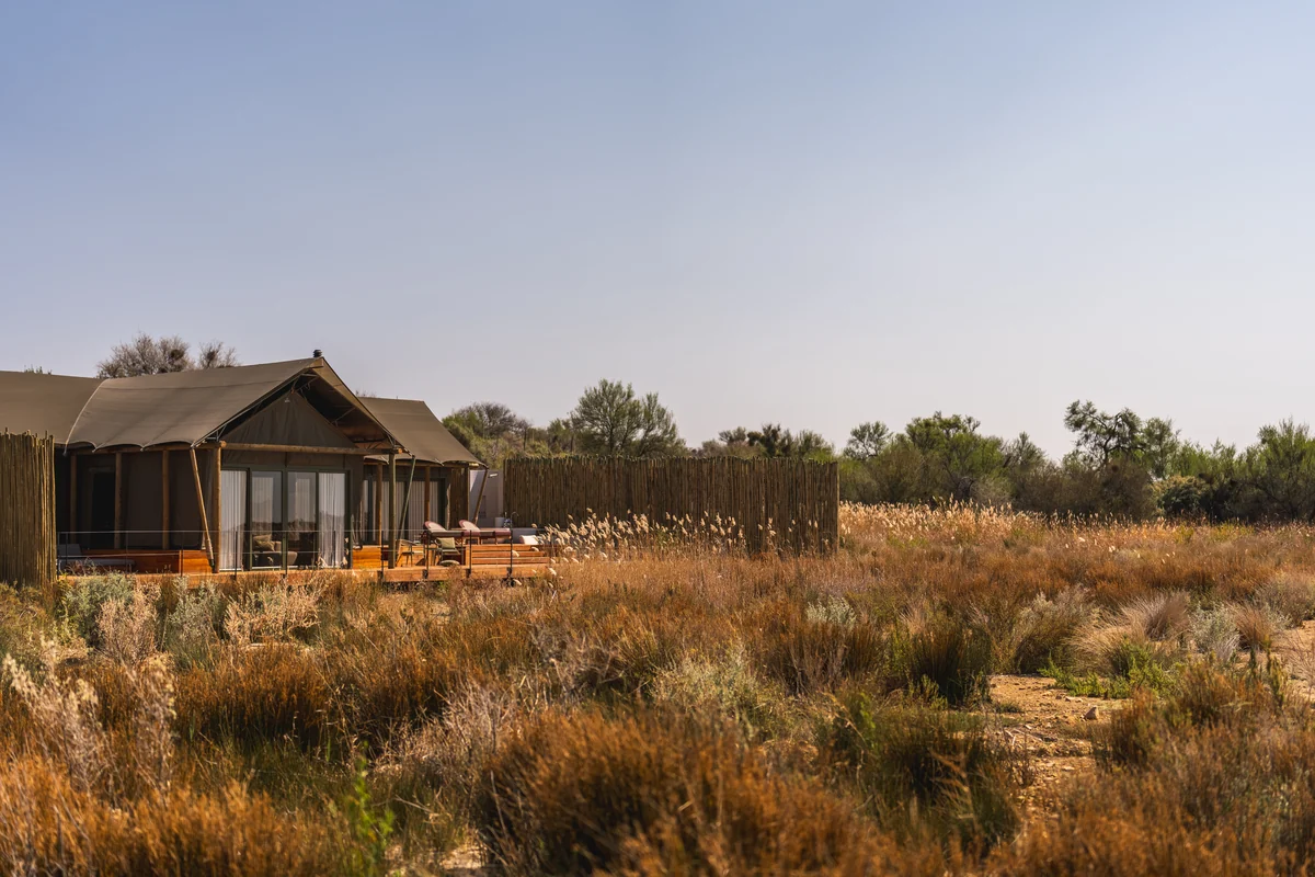 A suite set low among the golden grasses of the veld