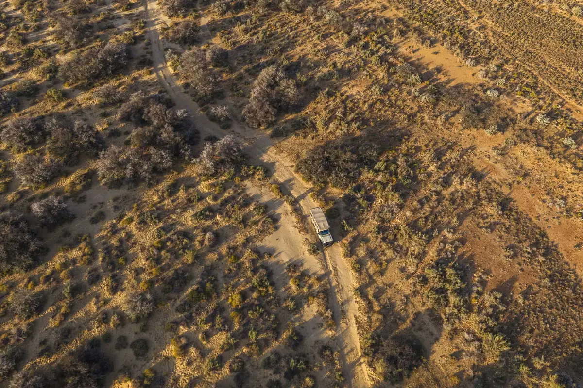 A game drive vehicle on a track through the bush from above