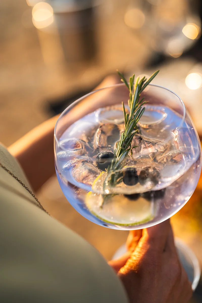 A gin and tonic garnished with rosemary